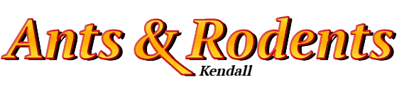 Kendall Ant Exterminator & Rodent Control Company Logo